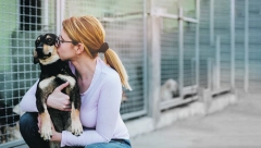 LJUBAV I STRPLJENJE Pomozite svom psu da lakše prebrodi strahove koje je navukao