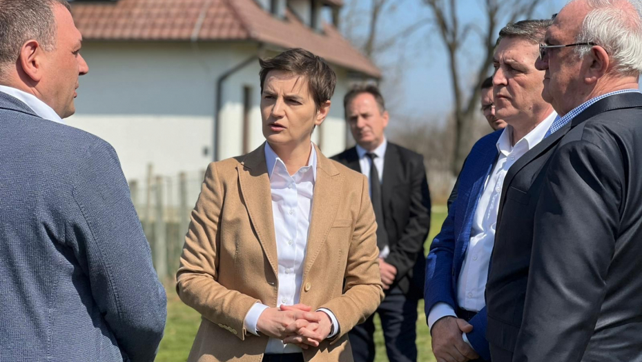 BRNABIĆ NA SASTANKU SA AMERIČKIM SENATORIMA I AMBASADOROM HILOM Prisustvo kompanija iz SAD U Srbiji od velikog značaja