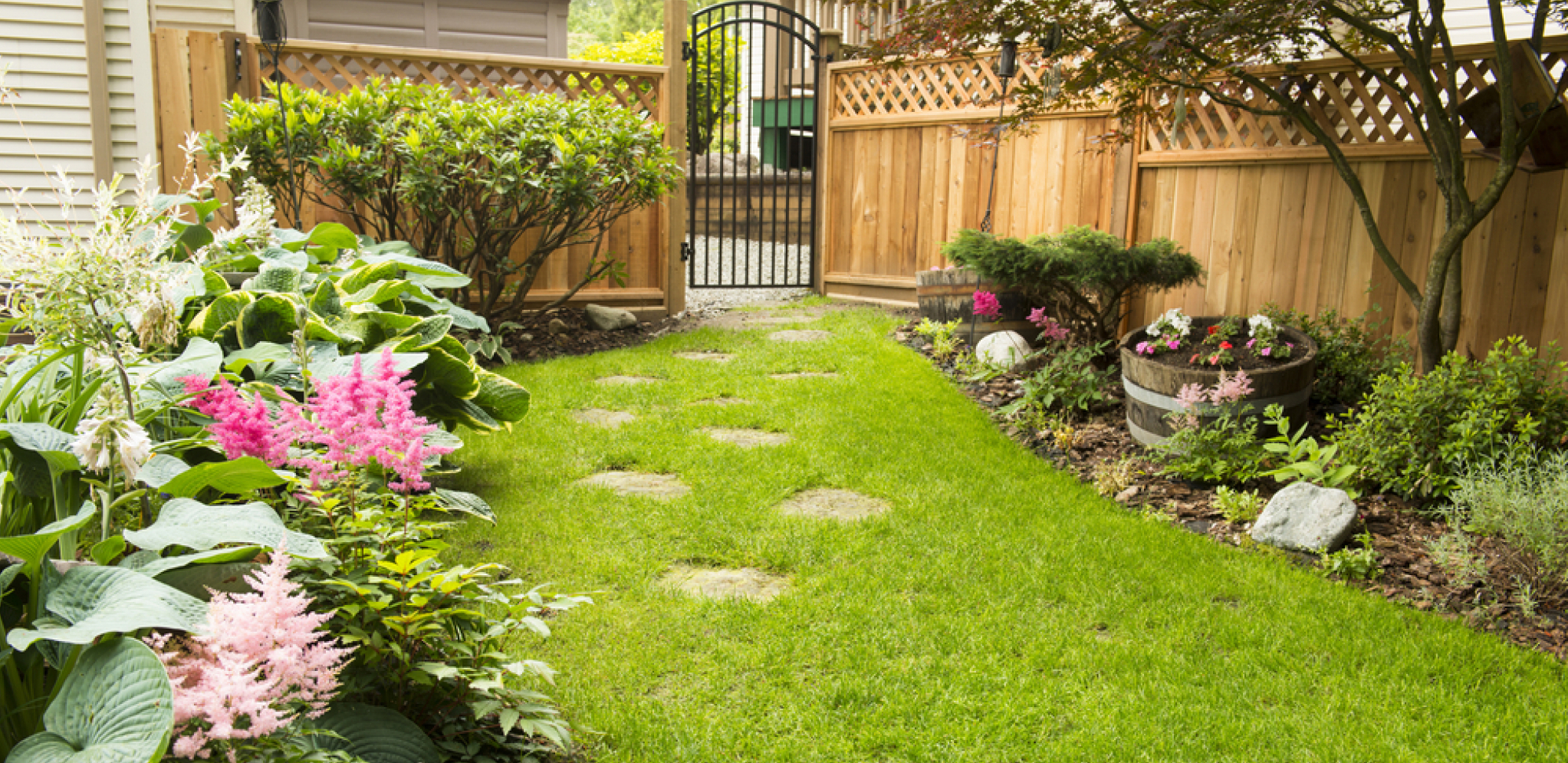 OVO SIGURNO NISTE ZNALI Evo kako pivo može da oživi zemljište