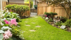 POSADITE IH U SVOM DVORIŠTU Ove biljke čuvaju kuću i donose blagostanje porodici