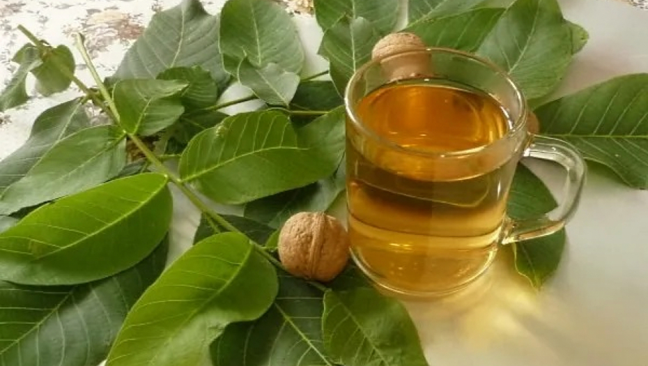 Lek za želudac i štitnu žlezdu: Recept za liker od mladog oraha