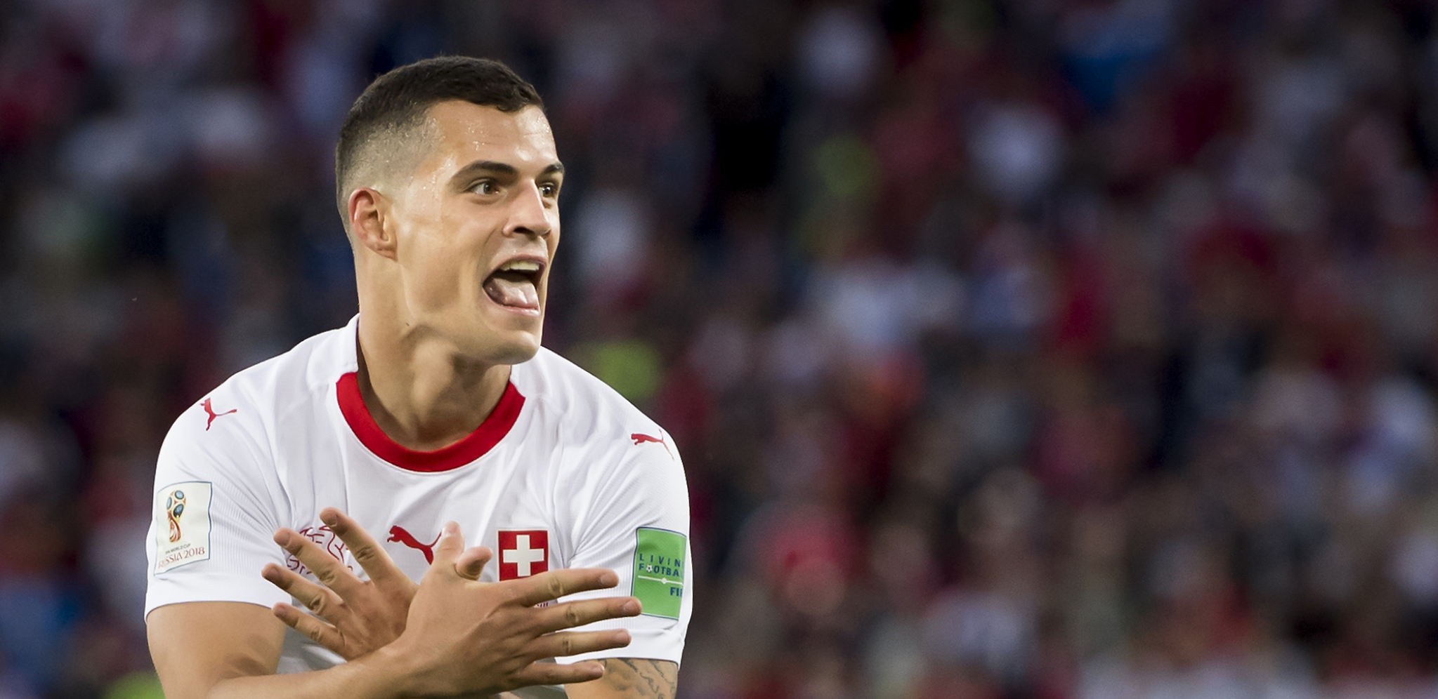 ALBANSKA MAFIJA UPLETENA U SKANDAL SA DŽAKOM Isplivali novi detalji za prevaru veka (FOTO)