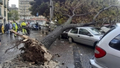 OBRENOVAC I OKOLINA ZATRPANI GRADOM Jak olujni vetar obarao stabla, na Karaburmi usporen saobraćaj!