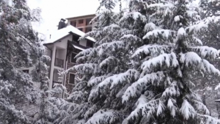 ZABELEO SE ZLATIBOR Prve fotografije zimske idile sa srpske planine, zavejalo preko noći! (FOTO)