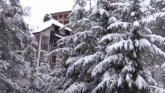 ZABELEO SE ZLATIBOR Prve fotografije zimske idile sa srpske planine, zavejalo preko noći! (FOTO)