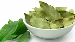 ISPROBAJTE OVAJ NEVEROVATAN TRIK Evo šta će se desiti kada lovorov list stavite u mašinu