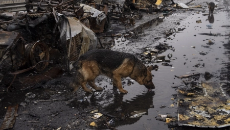 KLIČKO UPOREDIO: Događaji iz Buče su kao scene iz horor filma