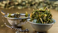 "LEK" IZ PRIRODE Čaj od listova ove biljke smanjuje nivo šećera u krvi