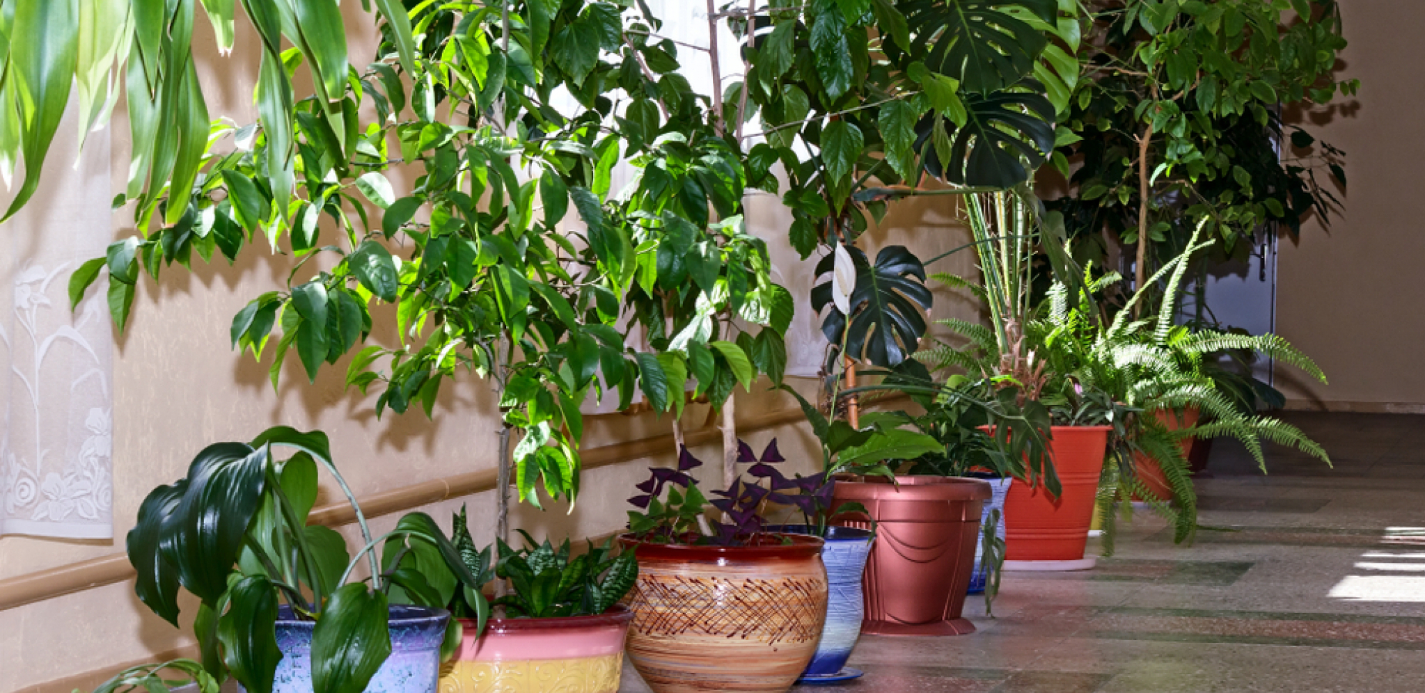 OVA NAMIRNICA HRANI VAŠE BILJKE Pomešajte je sa vodom i cveće će se potpuno oporaviti