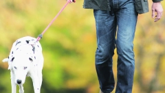 STRUČNJACI SAVETUJU Ovoliko koraka bi trebalo da pređete dnevno da bi ostali zdravi