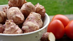 SAVETI POZNATOG TRAVARA Ova biljka je spas za ljude sa dijabetesom i visokim holesterolom