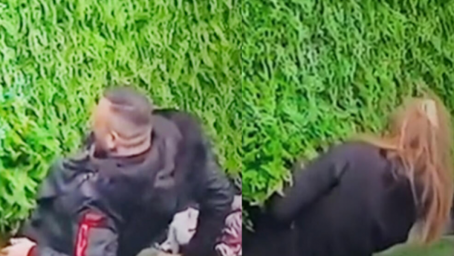EVO ZBOG ČEGA SU DALILA I CAR POBEGLI IZ ZADRUGE! Uništili kapiju, provukli se kroz  otvor, a razlog će vas šokirati! (VIDEO)