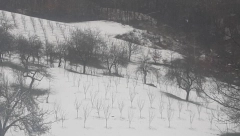 PAO SNEG Zabelele se planine u Sloveniji