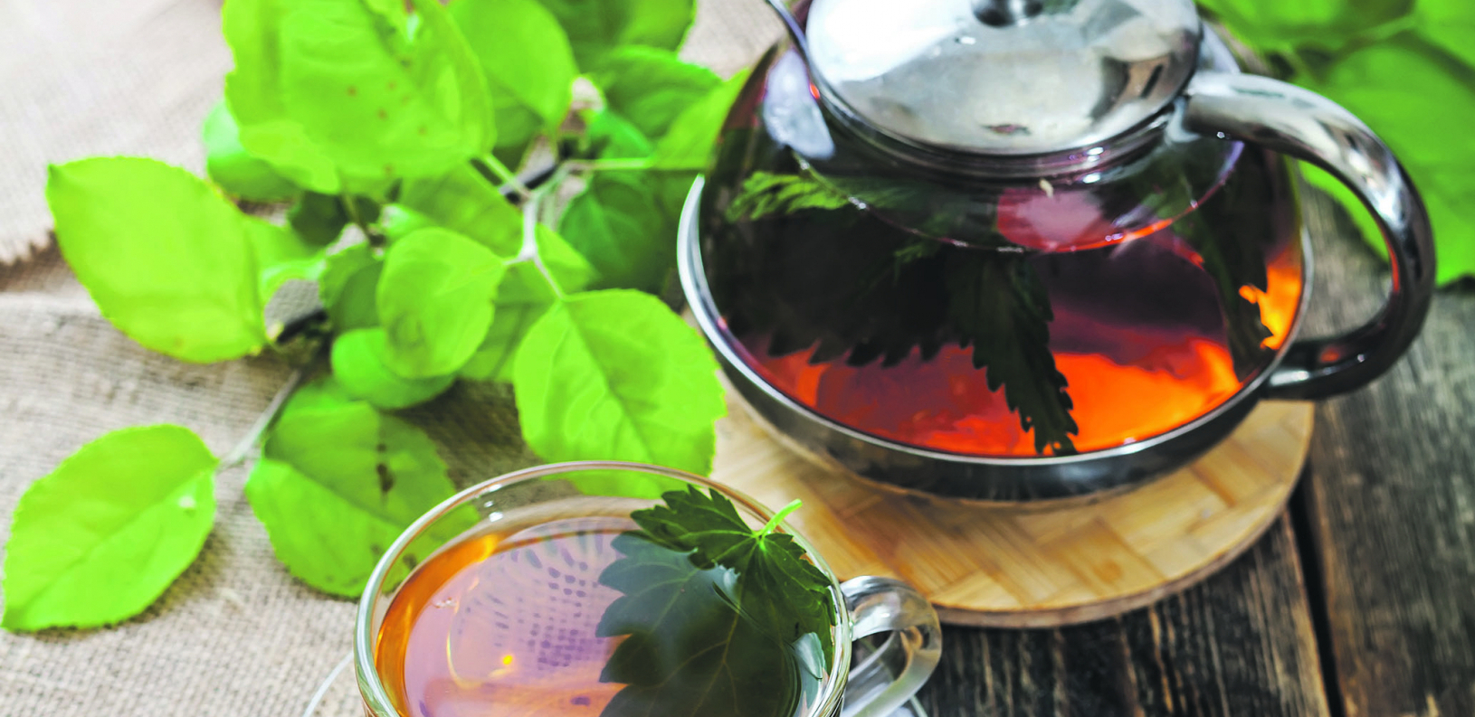 RECEPTI SA KOPRIVOM ZA BRŽI RAST KOSE Biljka pomaže kod peruti i smanjuje opadanje