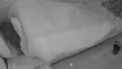 MILJANA PONOVO TRUDNA? Kulićeva obelodanila sve, izbacila Filipa i Zolu iz izolacije, a onda je usledila nikad brutalnija akcija sa Bebicom (VIDEO +18)