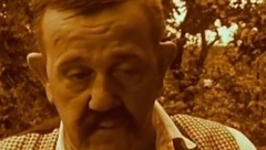 SVI SU MISLILI DA GLEDAJU PAVLA VUISIĆA, ALI TO NIJE BIO ON Neverovatno liče, a evo o kome je reč (FOTO)