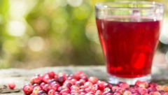 LIKER OD VIŠANJA Ovo je stari recept koji svima uspeva