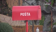 ZADRUGARI DOŽIVELI ŠOK Stiglo pismo Velikog šefa, a ovako nešto nisu očekivali