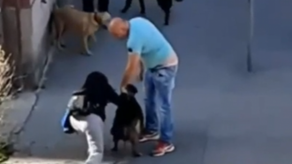 NASILNIKU IZ ZEMUNA PRITVOR DO 30 DANA Pretukao ženu i psa na ulici (VIDEO)