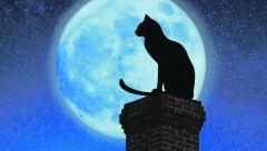 VEKOVIMA STARA NARODNA VEROVANJA Ako u kući sediš prekrštenih ruku, sluti na nesreću, šta će se desiti ako oteraš tuđeg psa