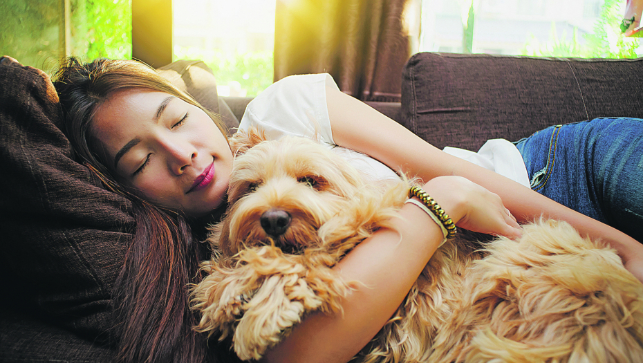 DA LI STE ZNALI Koliko sati dnevno pas treba da spava i kada treba da se zabrinete za njegovo zdravlje?