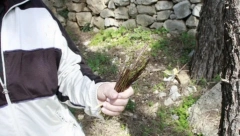 SNAŽAN PRIRODNI LEK POMAŽE SVIMA Ova biljka je izuzetno dobra za bubrege, bešiku, urinarne infekcije