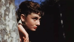IMALA JE POBAČAJE OD STRESOVA, MUŽEVI SU JE VARALI Bila je sinonim lepote i elegancije, a umrla je od raka creva i pluća