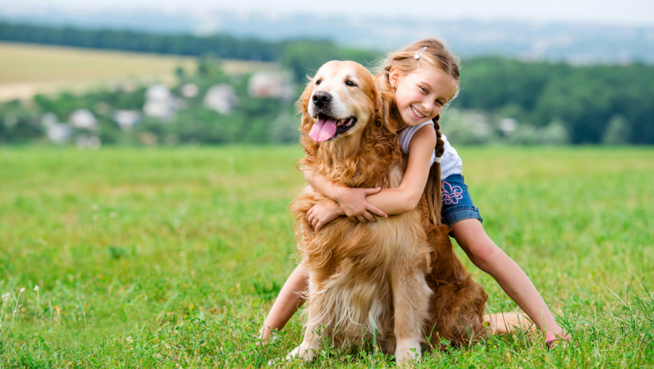 EVO ZAŠTO PSI JEDU TRAVU Postoji nekoliko razloga, a samo jedan zahteva odlazak kod veterinara