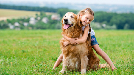 EVO ZAŠTO PSI JEDU TRAVU Postoji nekoliko razloga, a samo jedan zahteva odlazak kod veterinara