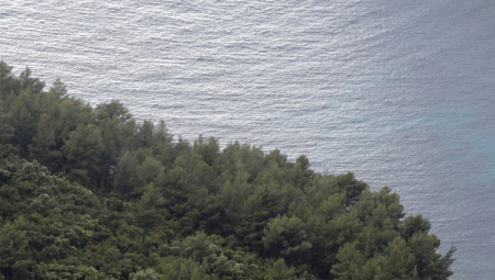UBISTVO NA MORU! "Svađali su se cele nedelje, a onda se više ništa nije čulo!"