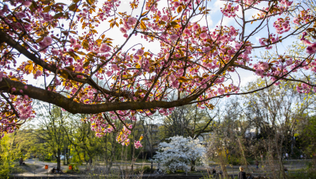 OVAKVO VREME SIGURNO NISTE OČEKIVALI ZA PRVI MAJ Evo šta kaže detaljna vremenska prognoza za praznike