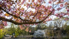 PRECIZNA VREMENSKA PROGNOZA Evo kakvo vreme nas očekuje do kraja ove i tokom sledeće  nedelje