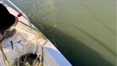 KRIVOLOV U SRBIJI NE JENJAVA Na Zapadnoj Moravi sprečen nezakonit ribolov, kod osumnjičenih nađene i mreže (FOTO)