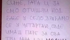 OTIŠLI U SELO, A SINU OSTAVILI PARE Plakaćete od smeha kad vidite šta ga mole da ne radi