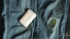 AKO NISTE ZNALI Evo kako da skinite fleke od trave