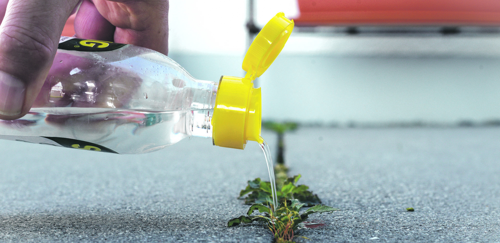 Primenite jednostavan trik: Bez korova među pločicama