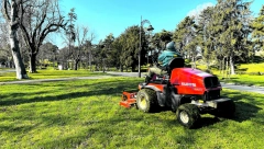 NAJBRŽI NAČIN DA SE REŠITE TRAVE IZ PLOČNIKA: Ništa ne košta, a uništava korov u sekundi