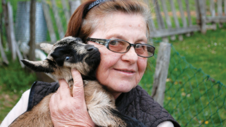 DA ŽELUDAC RADI KAO SAT Travarka Milica iz Mokre Gore otkriva: Ne postoji bolji lek za gastritis, nadutosti, loše varenje, od ove moćne biljke