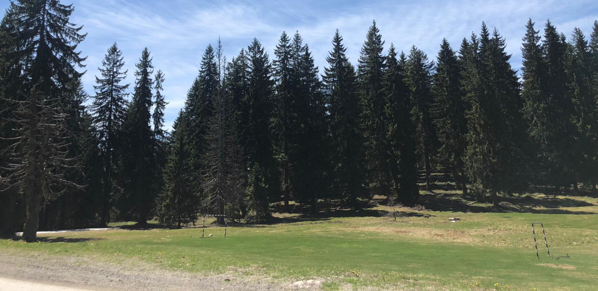 NADINO IMANJE KOŠTA 5.500 EVRA, A GLEDA NA MISTIČNU PLANINU: Nudi i zamenu za polovan automobil! (FOTO)