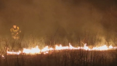 NOVI DETALJI O TRAGEDIJI KOD SREMSKE MITROVICE Palio korov blizu manastira, monasi ga zvali da se skloni