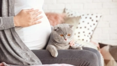 RODITELJI BIRAJU NAJBIZARNIJE METODE DA BI DOBILI DETE ODREĐENOG POLA Proverite da li biste ikada pokušali ovo?