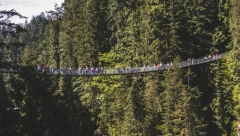 NAUČNICI IZDALI TUŽNO SAOPŠTENJE "Možda je već kasno!"