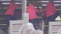 DEJAN BEŽI IZ ZADRUGE Dragojević razvalio ogradu nakon svađe sa Aleksandrom, haos u Beloj kući