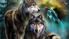 HOROSKOP ZA SREDU, 4. MAJ Finansijski dobitak čeka Vodoliju i Vagu, nesporazumi i rasprave Jarca, stres i nervoza Škorpiju