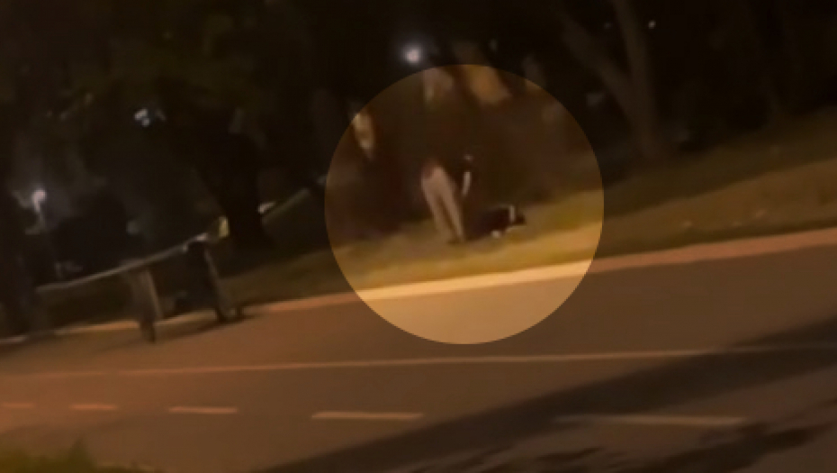NOKAUTIRAO DEVOJKU U CENTRU BEOGRADA Stravičan snimak nasilja, nastavio da je bije dok je ležala na tlu (VIDEO)