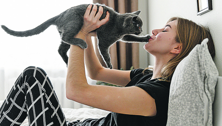 Poseban oblik komunikacije: Šta mačka pokušava da vam poruči položajem repa?