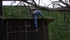 BEBICA POBEGAO IZ ZADRUGE Nakon što je Miljana otkrila pravu istinu, Nenad preskočio ogradu i napustio Belu kucu (VIDEO)