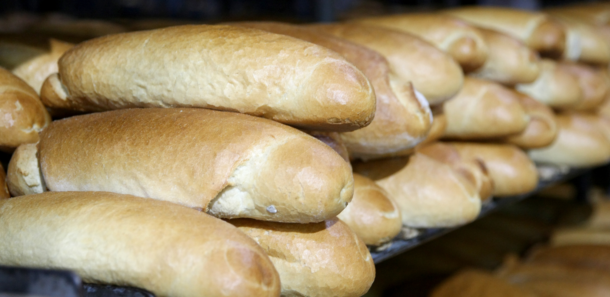 NOVA ODLUKA O CENI HLEBA I  NAFTNIH DERIVATA Donete važne uredbe za građane Srbije