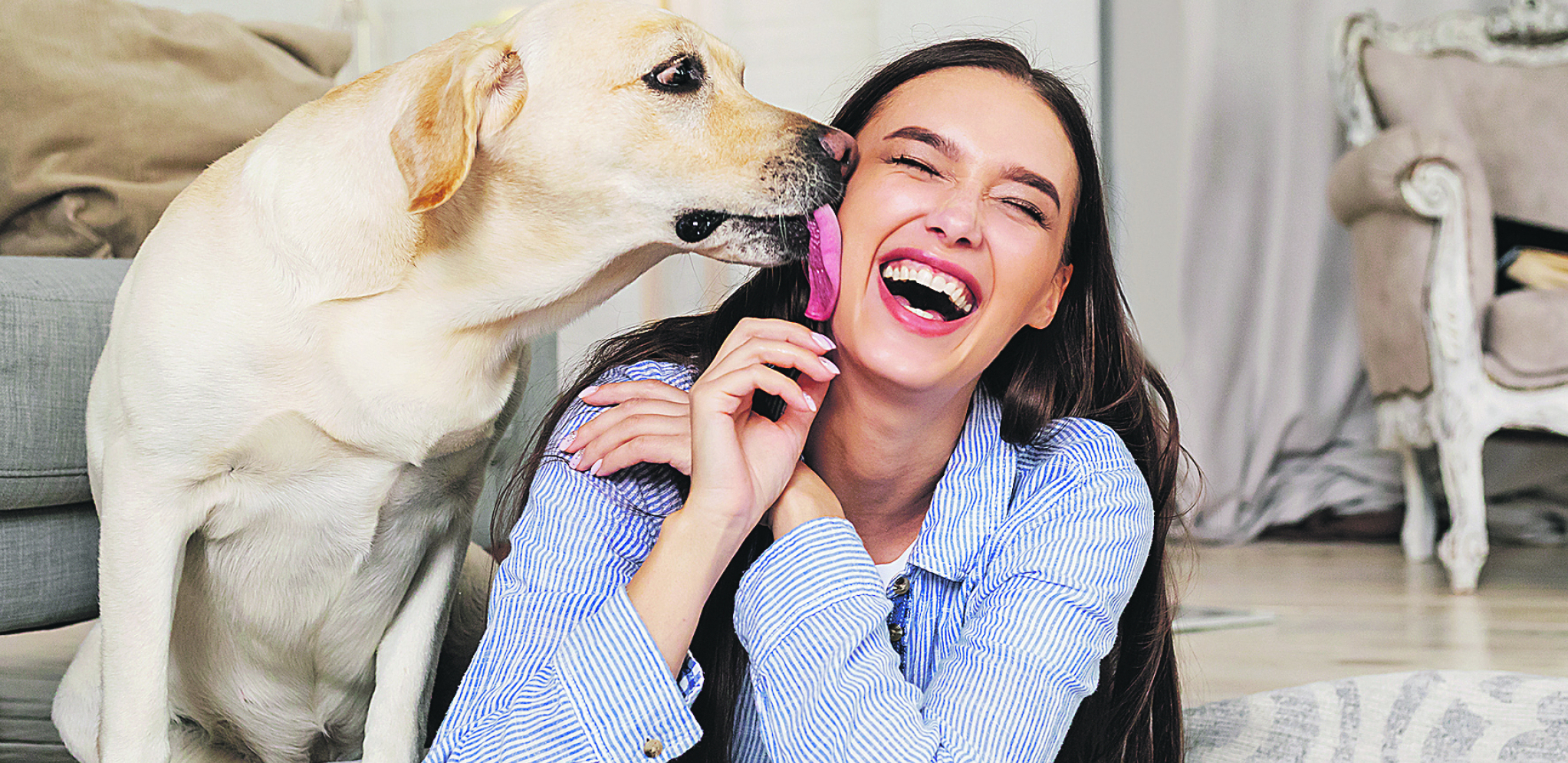 LEKARI ISTIČU Nije poželjno da vas pas liže po licu
