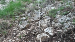 SRPSKI PLANINAR POGINUO U JEZIVOJ NESREĆI Izgubio se u mraku i survao se sa Triglava